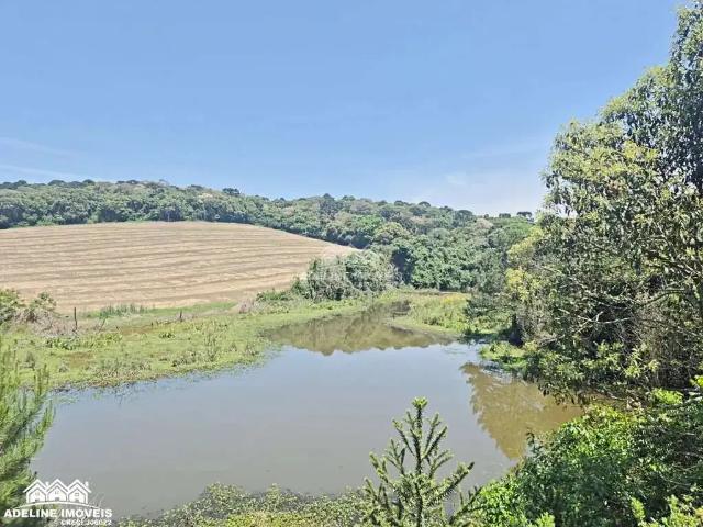 Sítio e chácara venda em Jardim Brasília, Carambeí