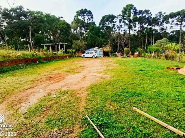 Sítio e chácara venda em Carambeí, Região Geográfica Intermediária de Ponta Grossa