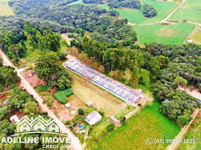 Sítio e chácara venda em Geal - Granja Econômica Avícola, Carambeí