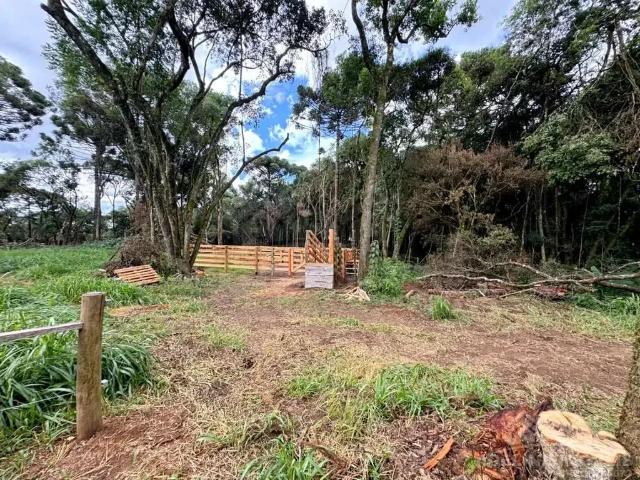 Sítio e chácara venda em Jardim Brasília, Carambeí