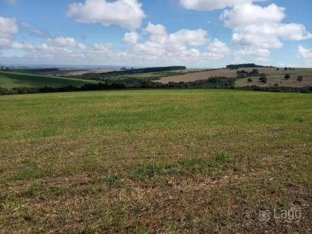 Sítio e chácara venda em Região Geográfica Imediata de Ponta Grossa, Carambei