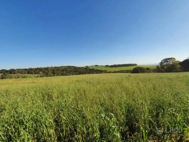 Sítio e chácara venda em Carambeí, Região Geográfica Intermediária de Ponta Grossa