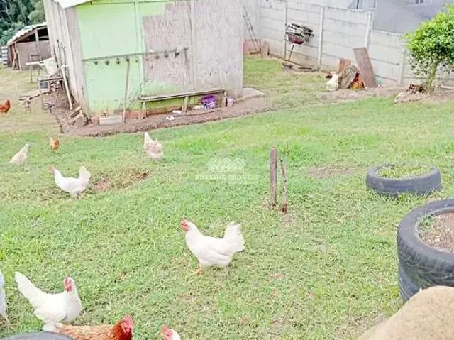 Sítio e chácara venda em Carambeí, Região Geográfica Intermediária de Ponta Grossa