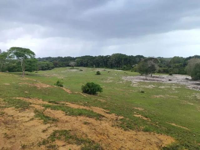 Sítio e chácara venda em Carapebus, Região Geográfica Intermediária de Macaé-Rio das Ostras-Cabo Frio
