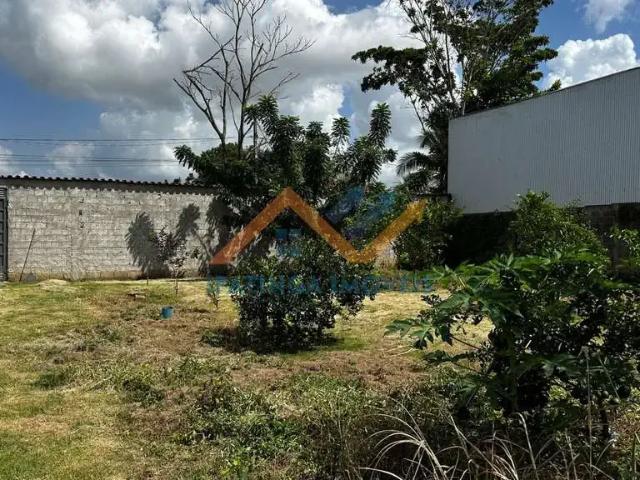 Sítio e chácara venda em Região Geográfica Imediata de Caratinga, Caratinga