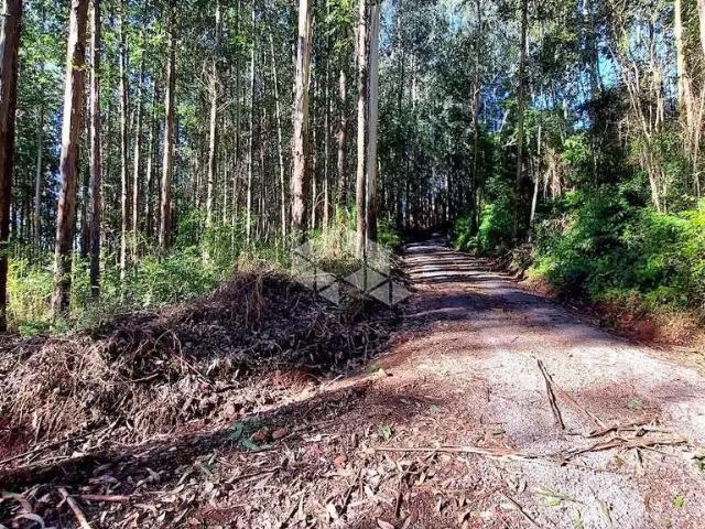 Sítio e chácara venda em Região Geográfica Imediata de Bento Gonçalves, Carlos Barbosa