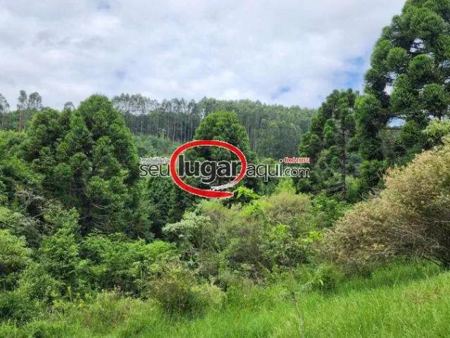 Sítio e chácara venda em Região Geográfica Imediata de Bento Gonçalves, Carlos Barbosa