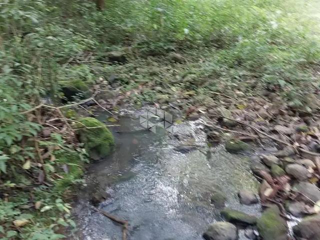 Sítio e chácara venda em Região Geográfica Imediata de Bento Gonçalves, Carlos Barbosa
