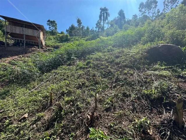 Sítio e chácara venda em Região Geográfica Imediata de Bento Gonçalves, Carlos Barbosa