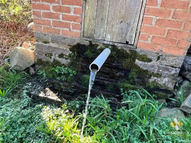 Sítio e chácara venda em Região Geográfica Imediata de Bento Gonçalves, Carlos Barbosa