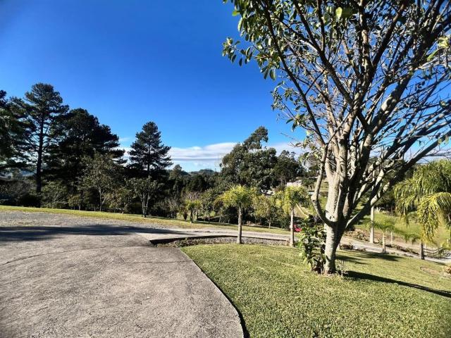 Sítio e chácara venda em Carlos Barbosa, Região Geográfica Intermediária de Caxias do Sul