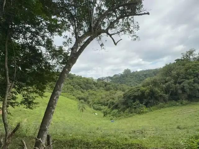 Sítio e chácara venda em Carlos Barbosa