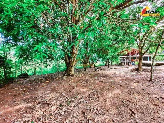 Sítio e chácara venda em Região Geográfica Imediata de Divinópolis, Carmo do Cajuru