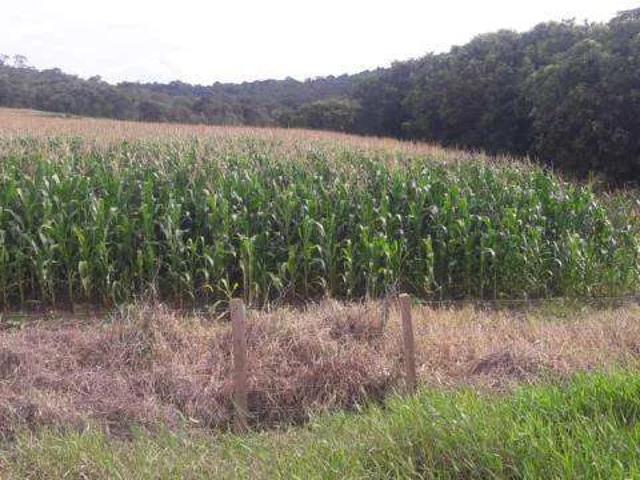 Sítio e chácara venda em Carmo do Rio Claro, Região Geográfica Intermediária de Varginha