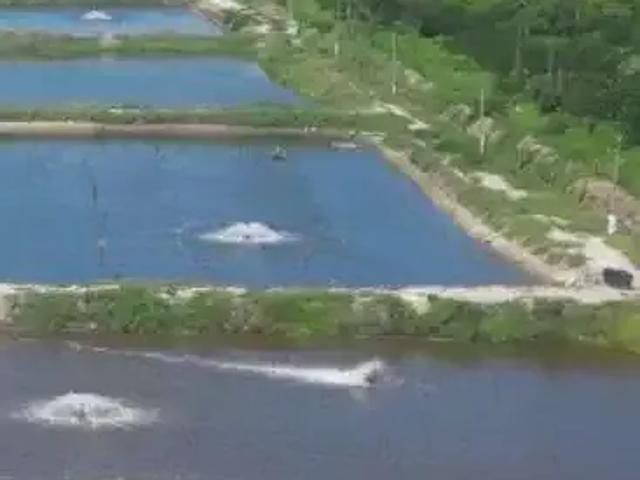 Sítio e chácara venda em Região Geográfica Imediata de Açu, Alto do Rodrigues