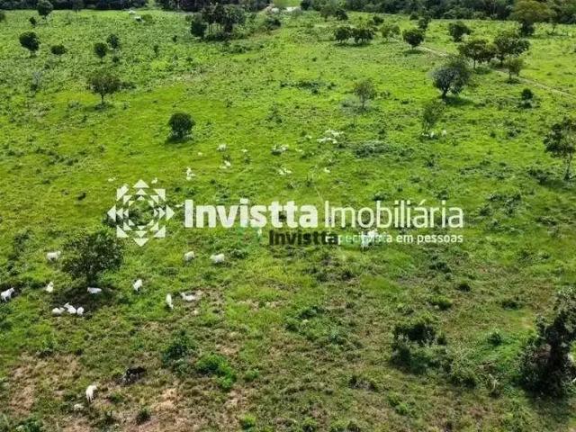 Sítio e chácara venda em Carolina, Região Nordeste