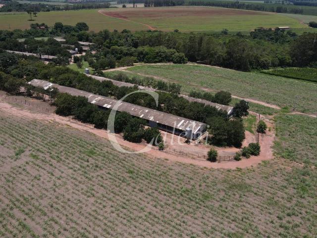 Sítio e chácara venda em Casa Branca, Região Geográfica Intermediária de Campinas