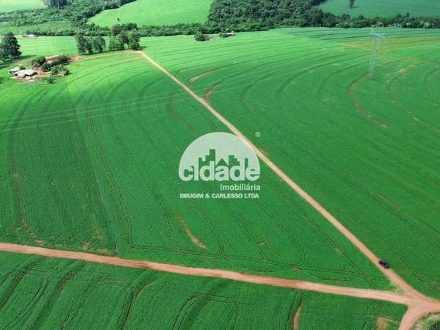 Sítio e chácara venda em Cascavel, Região Geográfica Intermediária de Fortaleza