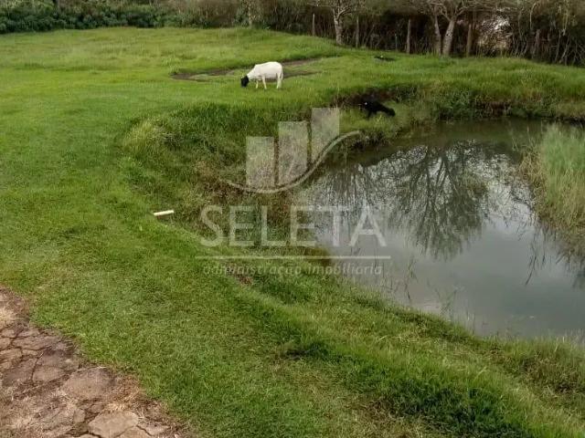 Sítio e chácara venda em Região Geográfica Imediata de Cascavel, Cascavel