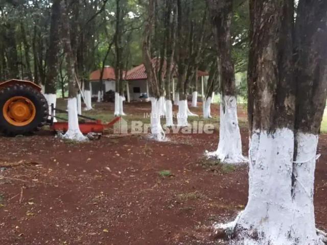 Sítio e chácara venda em Região Geográfica Imediata de Cascavel, Cascavel