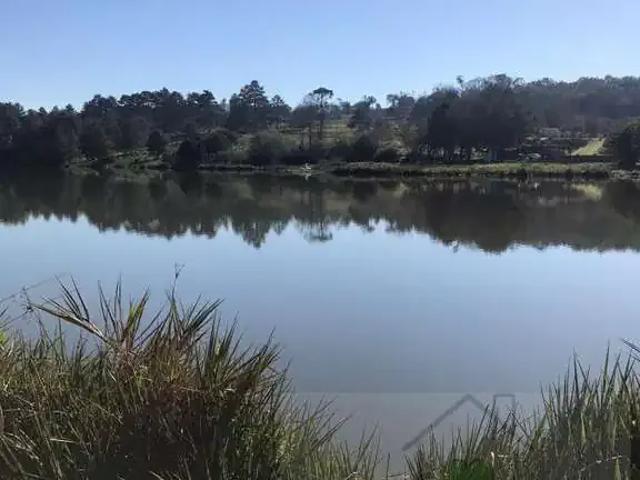 Sítio e chácara venda em Região Geográfica Imediata de Cascavel, Cascavel