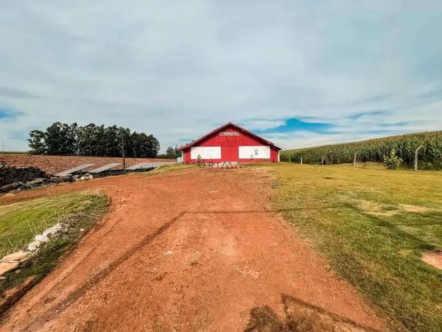 Sítio e chácara venda em Região Geográfica Imediata de Cascavel, Cascavel