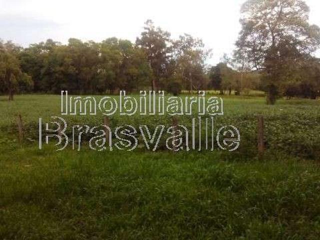 Sítio e chácara venda em Região Geográfica Imediata de Cascavel, Cascavel