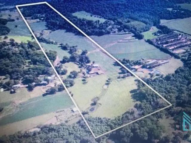 Sítio e chácara venda em Região Geográfica Imediata de Cascavel, Cascavel