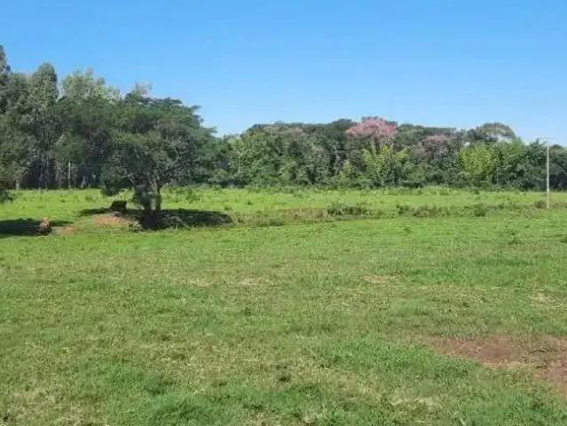 Sítio e chácara venda em Região Geográfica Imediata de Cascavel, Cascavel