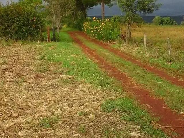 Sítio e chácara venda em Região Geográfica Imediata de Cascavel, Cascavel