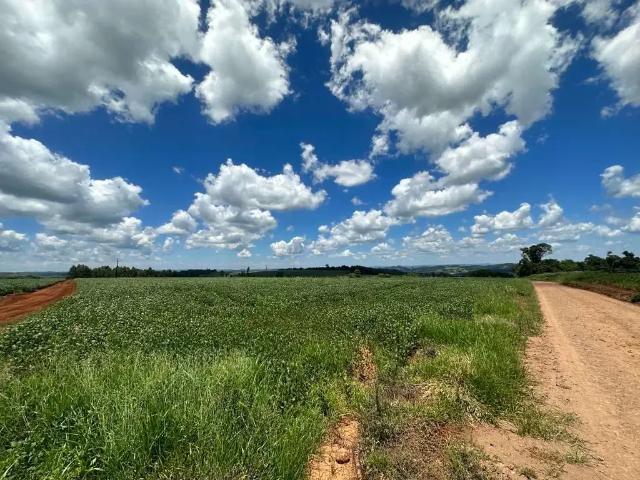 Sítio e chácara venda em Região Geográfica Imediata de Cascavel, Cascavel