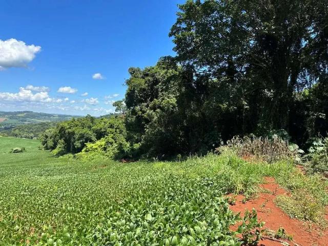 Sítio e chácara venda em Região Geográfica Imediata de Cascavel, Cascavel