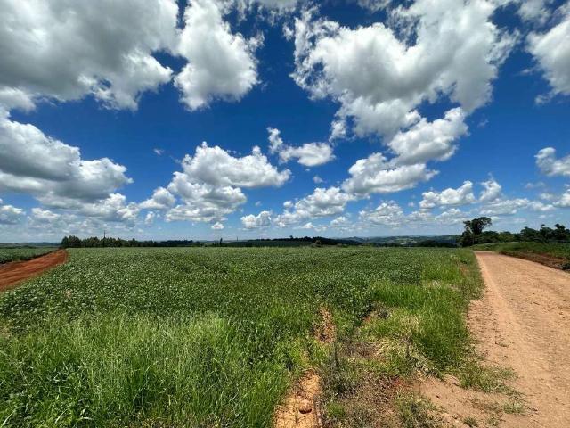 Sítio e chácara venda em Cascavel, Região Geográfica Intermediária de Cascavel