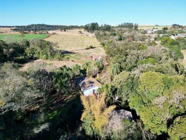 Sítio e chácara venda em Região Geográfica Imediata de Cascavel, Cascavel