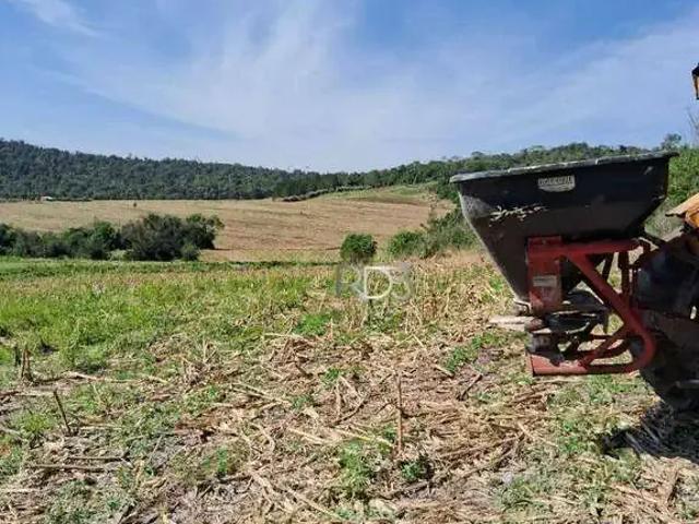 Sítio e chácara venda em Região Geográfica Imediata de Cascavel, Cascavel