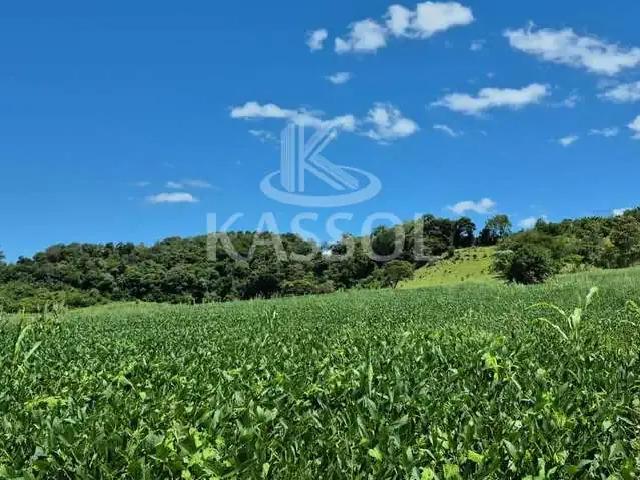 Sítio e chácara venda em Região Geográfica Imediata de Cascavel, Cascavel