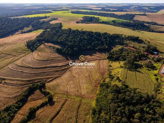 Sítio e chácara venda em Região Geográfica Imediata de Cascavel, Cascavel