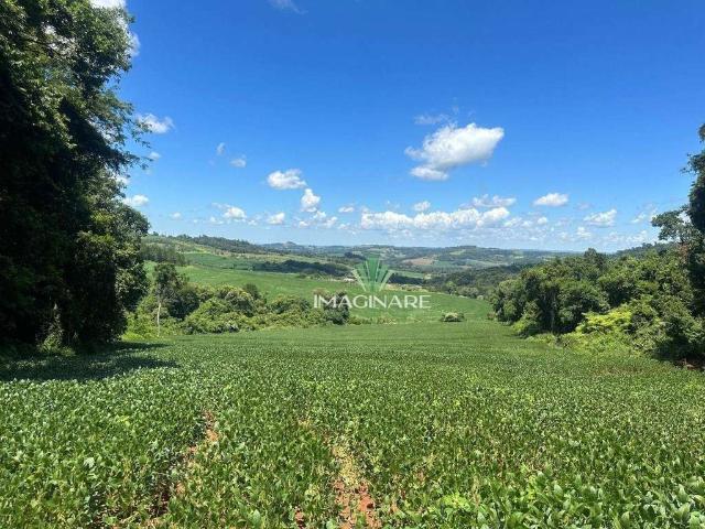 Sítio e chácara venda em Região Geográfica Imediata de Cascavel, Cascavel