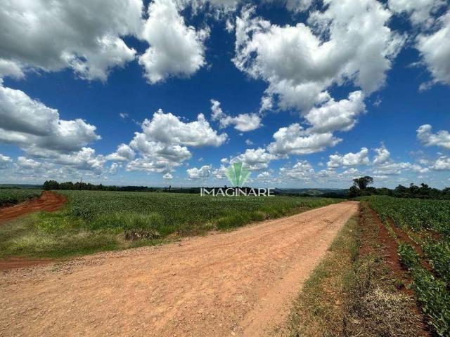 Sítio e chácara venda em Região Geográfica Imediata de Cascavel, Cascavel