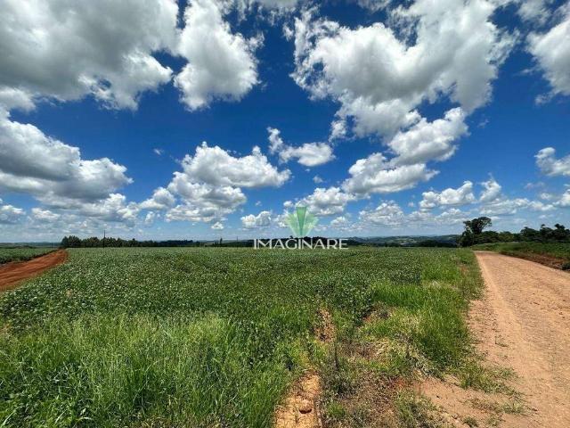 Sítio e chácara venda em Região Geográfica Imediata de Cascavel, Cascavel