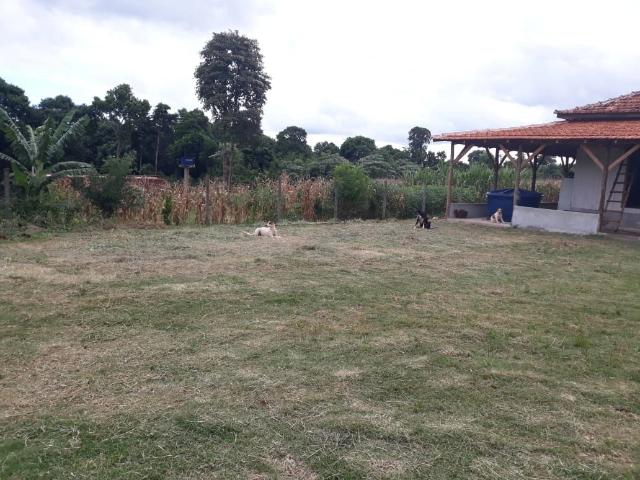 Sítio e chácara venda em Cascavel, Região Geográfica Intermediária de Cascavel