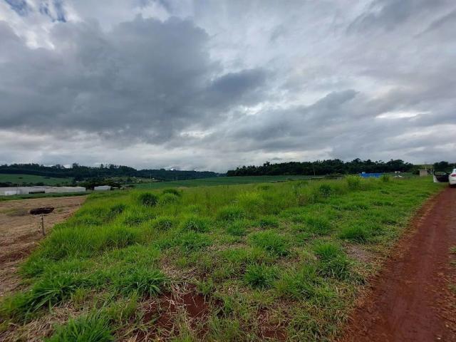 Sítio e chácara venda em Cascavel, Região Geográfica Intermediária de Cascavel