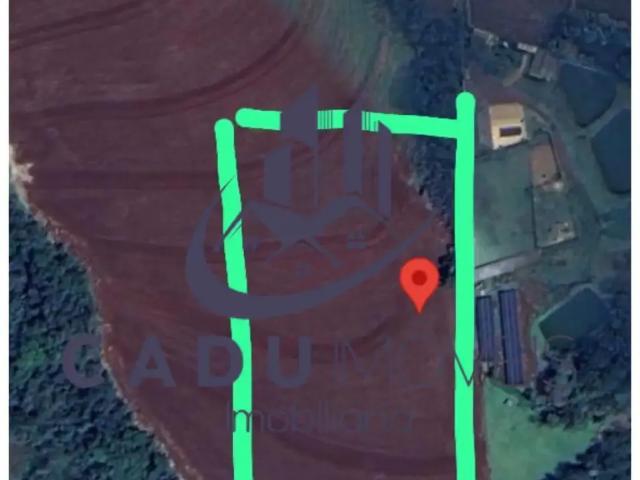 Sítio e chácara venda em Região Geográfica Imediata de Cascavel, Cascavel