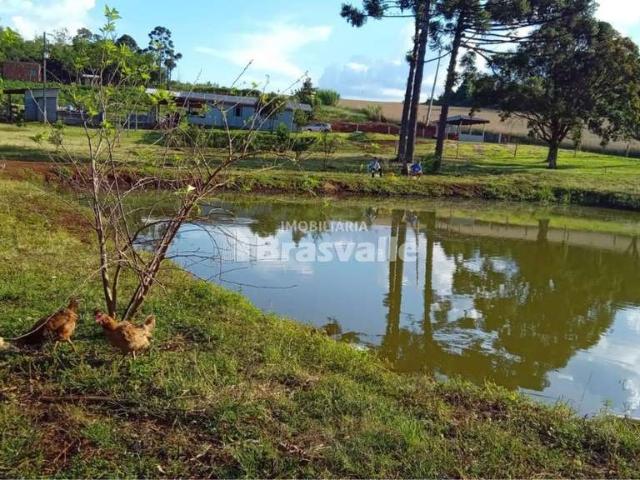 Sítio e chácara venda em Região Geográfica Imediata de Cascavel, Cascavel