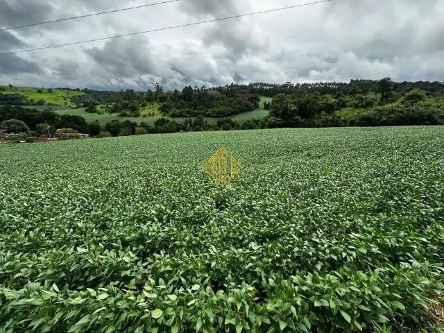 Sítio e chácara venda em Região Geográfica Imediata de Cascavel, Cascavel