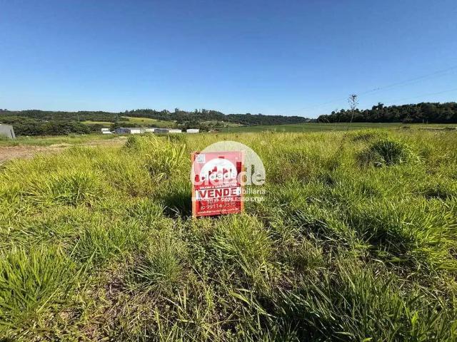 Sítio e chácara venda em Região Geográfica Imediata de Cascavel, Cascavel