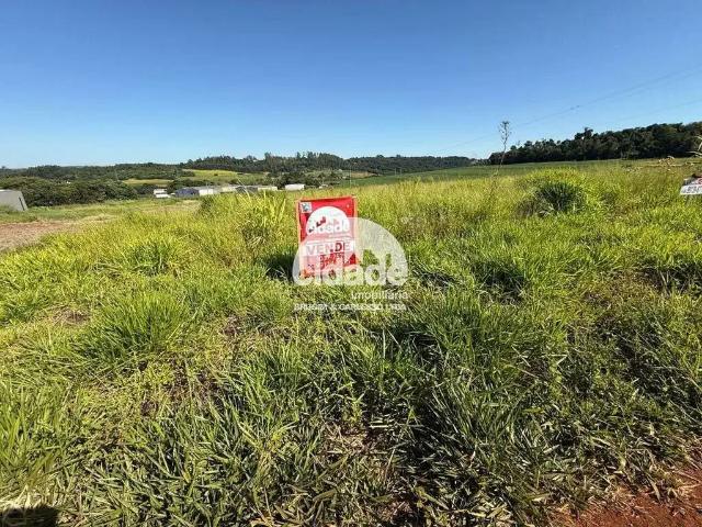 Sítio e chácara venda em Região Geográfica Imediata de Cascavel, Cascavel