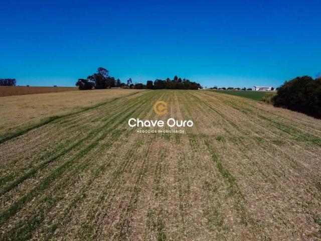 Sítio e chácara venda em Região Geográfica Imediata de Cascavel, Cascavel