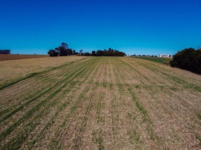 Sítio e chácara venda em Cascavel, Região Geográfica Intermediária de Cascavel