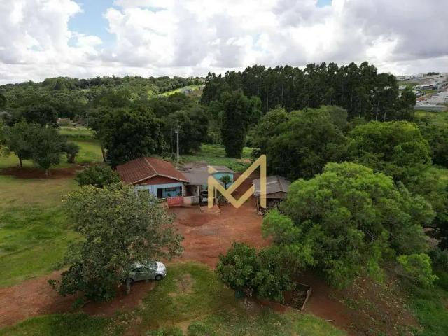 Sítio e chácara venda em Região Geográfica Imediata de Cascavel, Cascavel